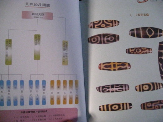 Pirated Book on Tibetan Dzi Bead?